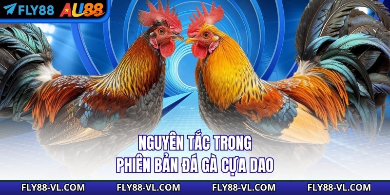 Nguyên tắc trong phiên bản đá gà cựa dao